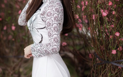 成都试管婴儿医生